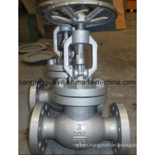 Carbon Steel Flange End Globe Valve 300lb